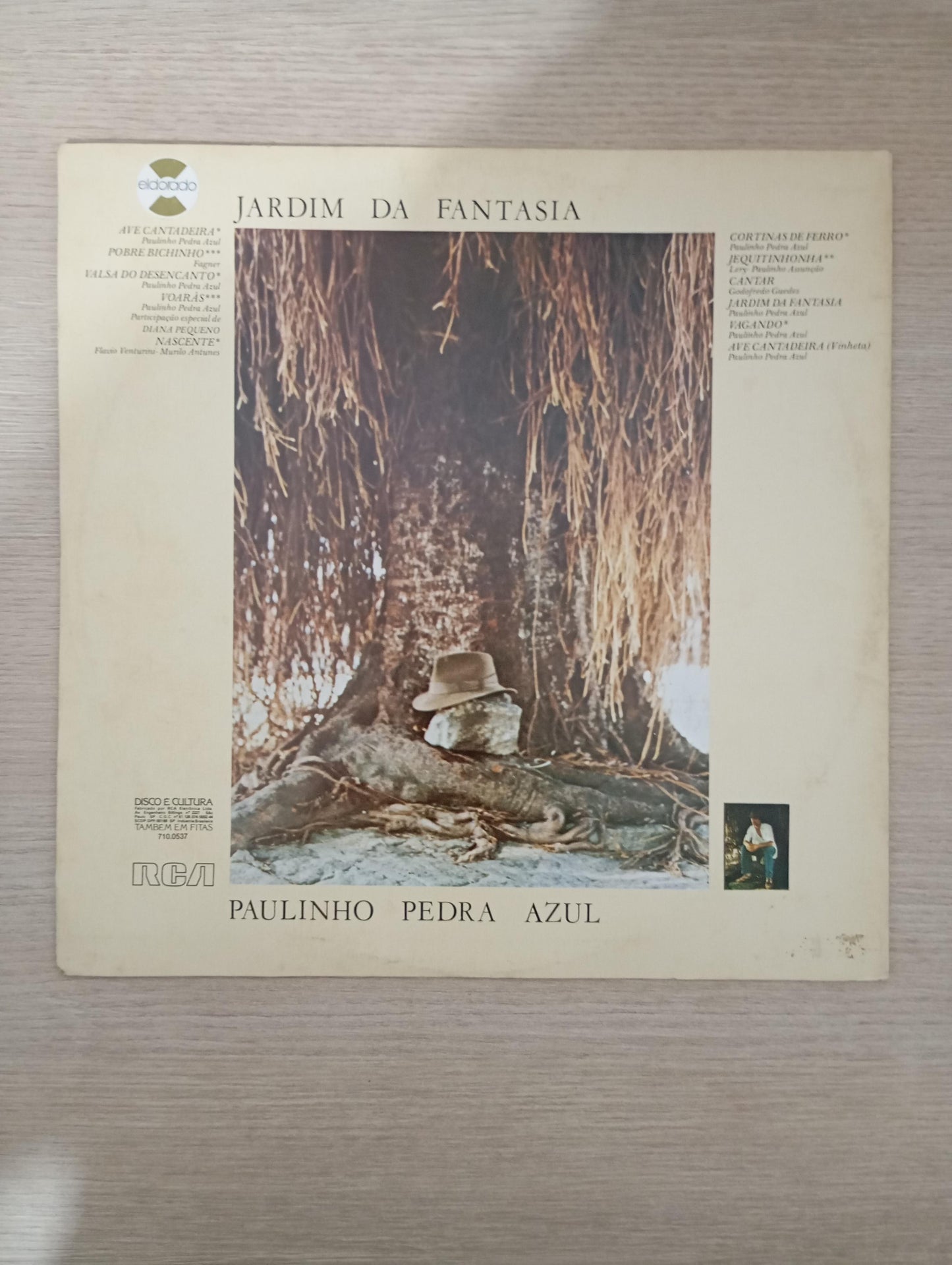 Lp Vinil Paulinho Pedra Azul Jardim Da Fantasia Com Encarte