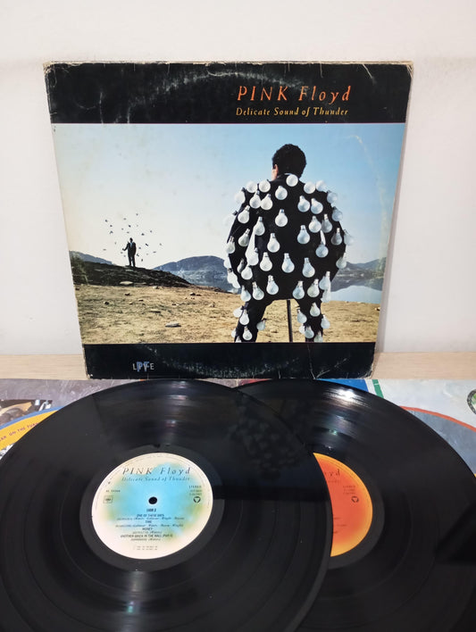 Lp Vinil Pink Floyd Delicate Sound Of Thunder Duplo, Leia