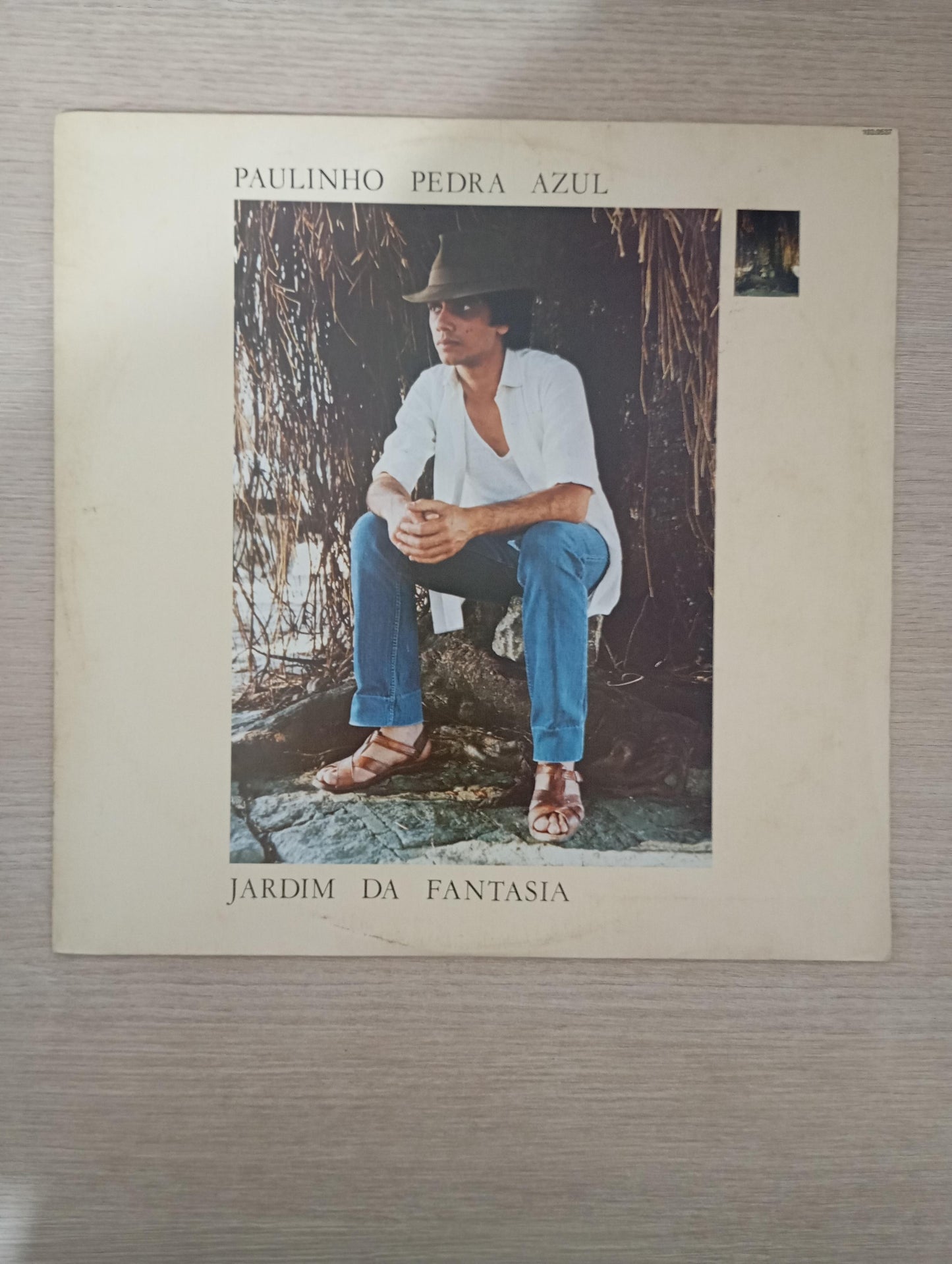 Lp Vinil Paulinho Pedra Azul Jardim Da Fantasia Com Encarte