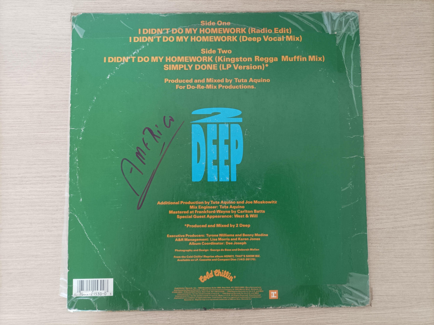 Lp Vinil 2 Deep I Didn't Do My Homework Importado