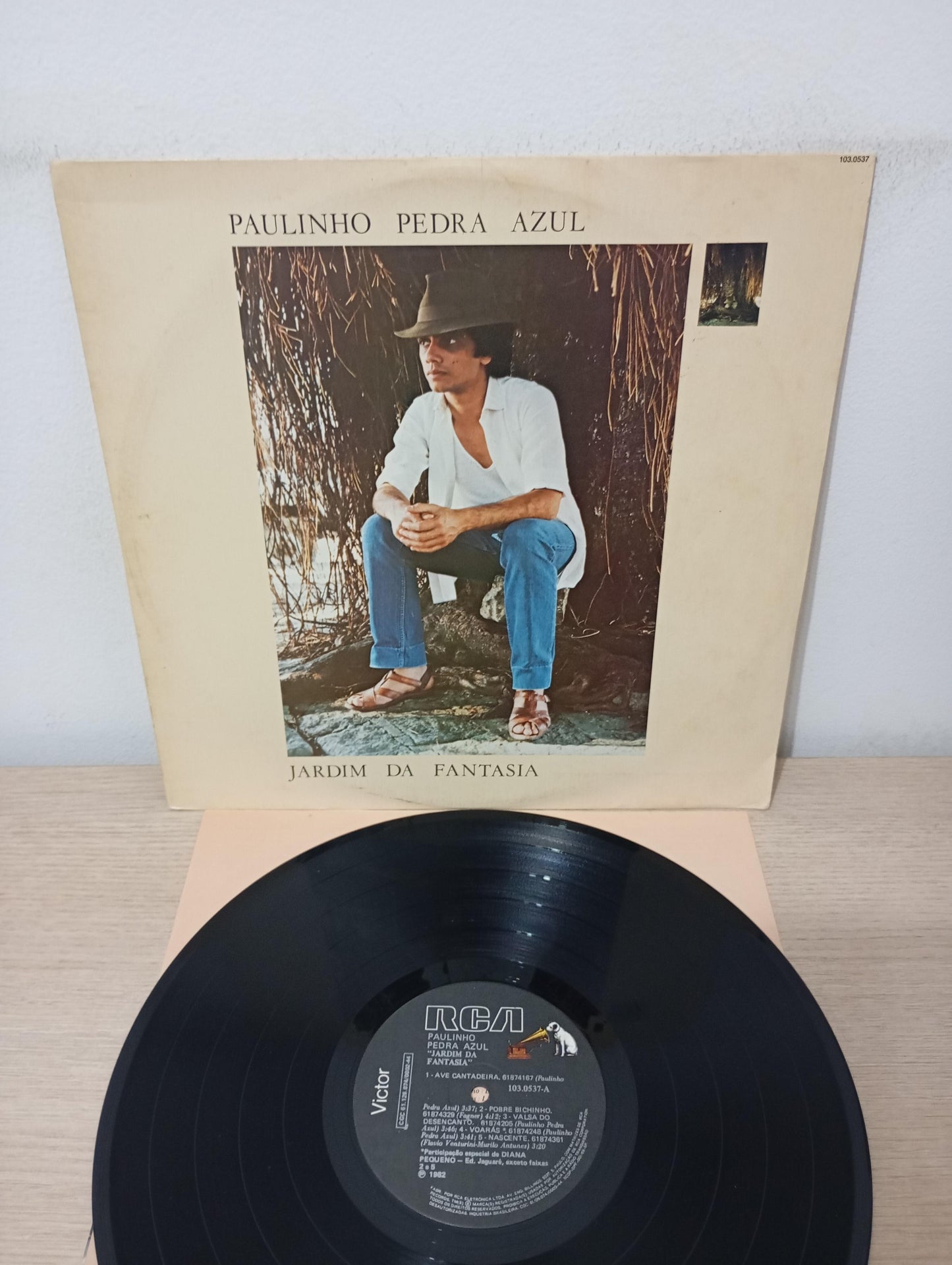 Lp Vinil Paulinho Pedra Azul Jardim Da Fantasia Com Encarte